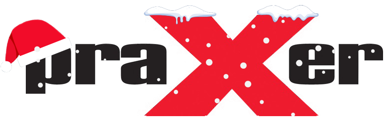 Praxer.pl